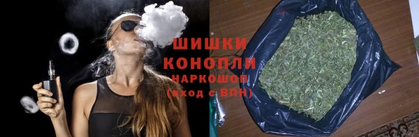 индика Белокуриха