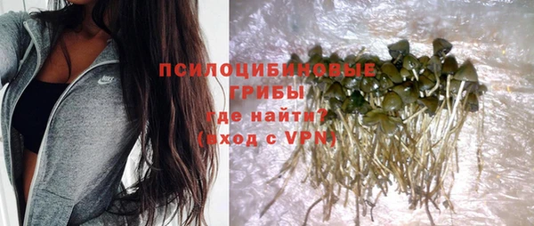 хмурый Богородск