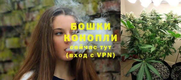 индика Белокуриха