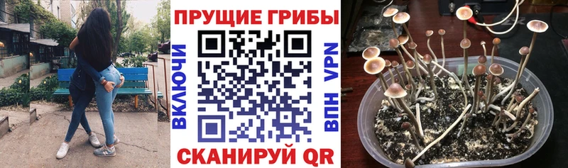 Псилоцибиновые грибы Magic Shrooms нарко площадка состав Котельниково